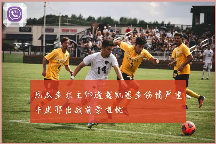 厄瓜多尔主帅透露凯塞多伤情严重卡皮耶出战前景堪忧