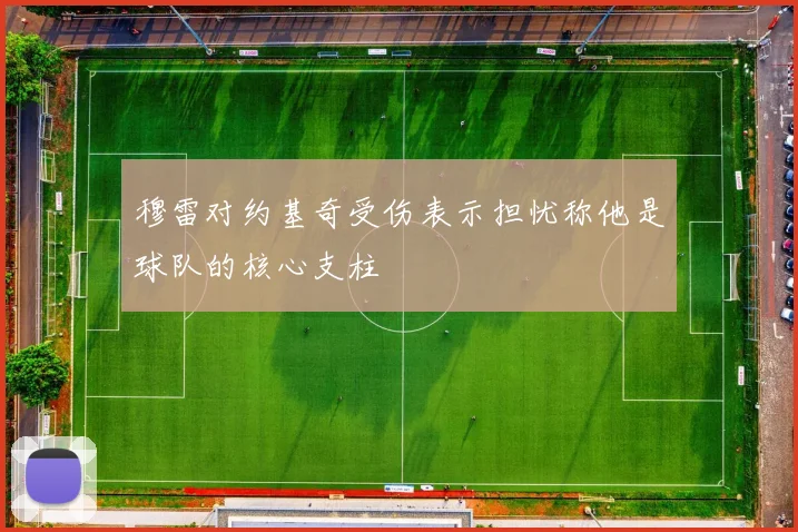 穆雷对约基奇受伤表示担忧称他是球队的核心支柱